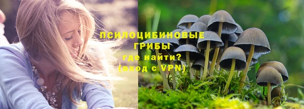 дурь Каменск-Шахтинский