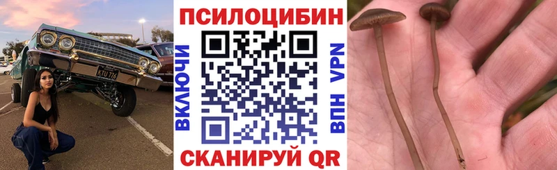 Галлюциногенные грибы GOLDEN TEACHER  наркотики  Опочка 